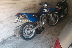 TTR 600