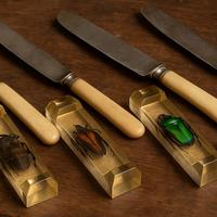 Set 4 poggia coltelli insetti wunderkammer vintage