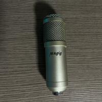 Microfono a condenstatore Mugig