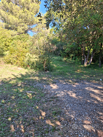 Terreno con acqua potabile