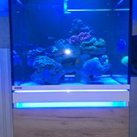 Acquario marino reef eheim incpiria 230 marine