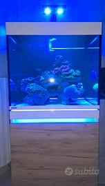 Acquario marino reef eheim incpiria 230 marine
