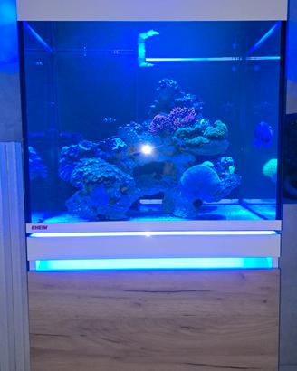Acquario marino reef eheim incpiria 230 marine