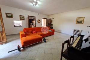 CASA INDIPENDENTE A BOSCONERO