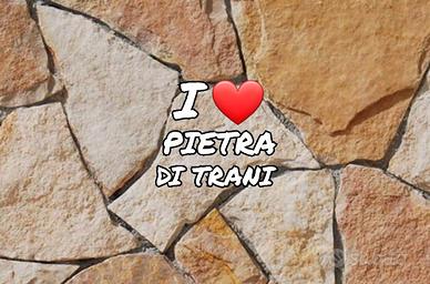 PIETRA TRANI RETROSEGATA SPEDIZIONE GRATIS 