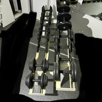 Rastrelliera pesi GOMMATI da 2 a 20kg