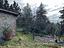Immagine 19