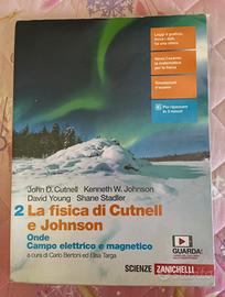 La fisica di Curnell e Johnson 2