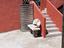 Immagine 6