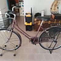 Bici da passeggio unisex.