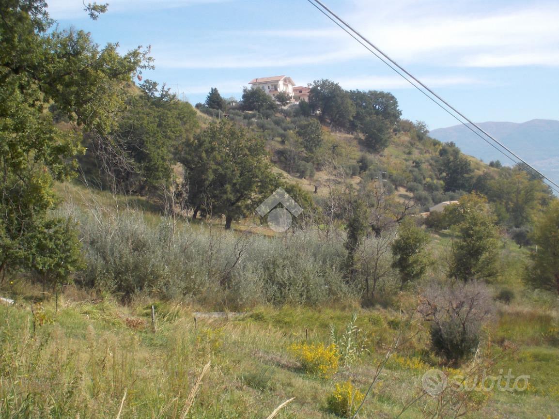 TER. AGRICOLO A CASTROLIBERO - Vista 5