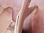 Immagine 9