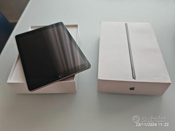 Apple iPad 