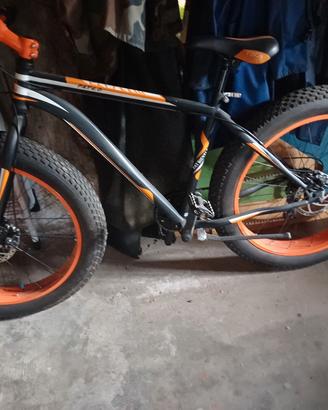 bicicletta fatbike
