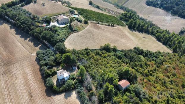 Si vende casale con terreno di 43500 mq