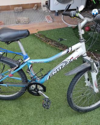 Bicicletta MTB Nuzzi 