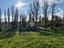 Immagine 13