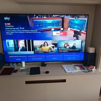 Smart TV Sony e impianto wilkins