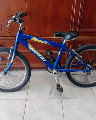 Bicicletta