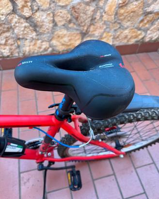 Coppia di MTB  da 26