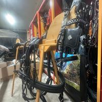 Finimento per cavalli