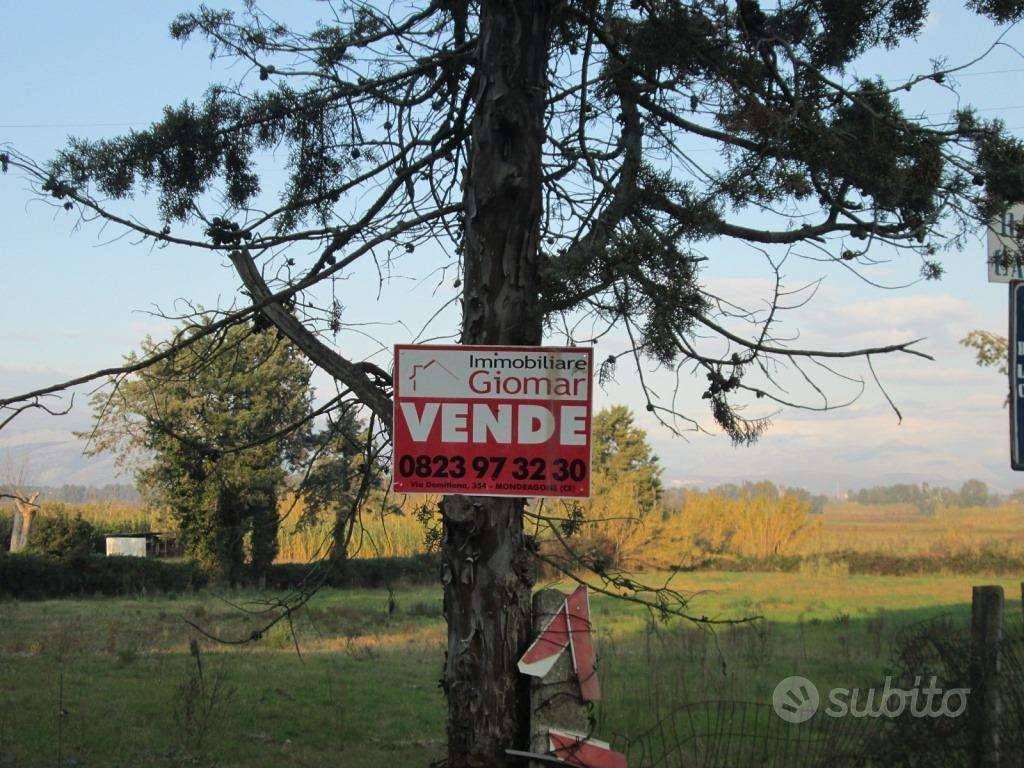 Terreno di 3500 m² a Cellole - Vista 3