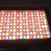 Faro led serie  minima di Manfrotto