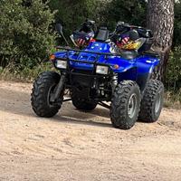 Quad polaris trail boss 330