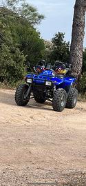 Quad polaris trail boss 330