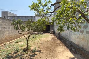 Indipendente con giardino