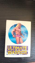 SUPER STARS OF WRESTLING – FUORI RACCOLTA