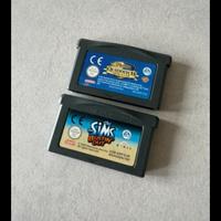 Due giochi Nintendo ds