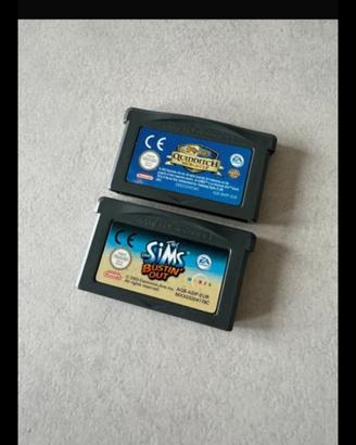 Due giochi Nintendo ds