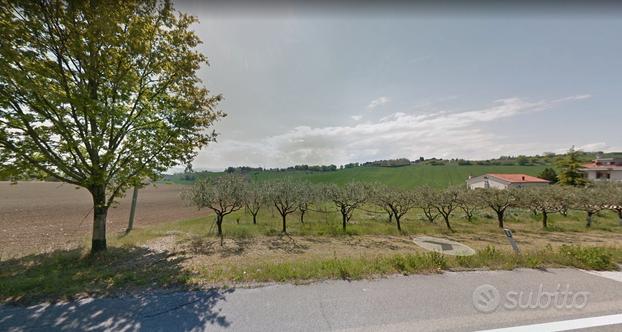 Terreno ad uso agricolo