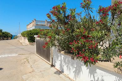 Isola di Chiara a marina di Capilungo