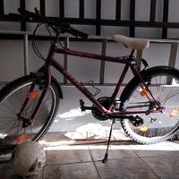 Mountain bike Atala