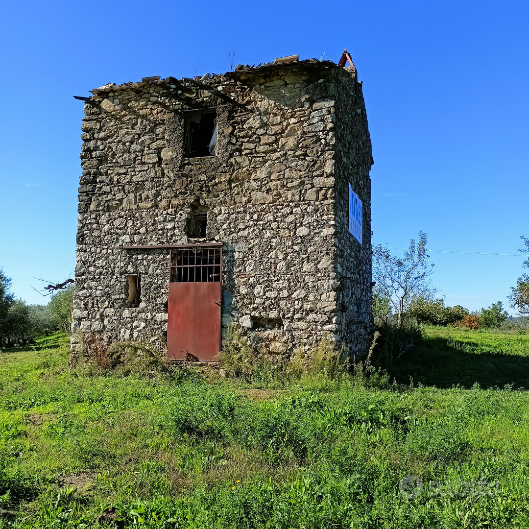 Rustico con terreno - Vista 4