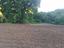 Immagine 20