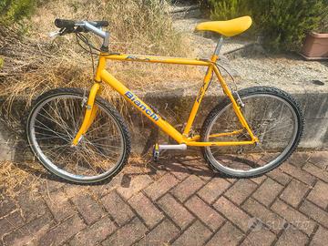 MTB Bianchi da 26