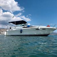 Barca searay300