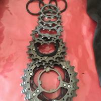 Cassetta campagnolo super record 11v