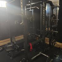 Palestra Lacertosus