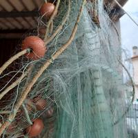 rete barracuda per sarde e altro