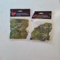 Muschio di renna per modellismo ferroviario dioram