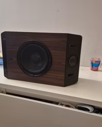 coppia casse acustiche Bose