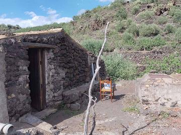 Pistacchieto e uliveto