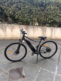 E-bike trekking a pedalata assistita Riverside520E