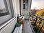 Immagine 13