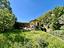 Immagine 29