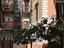 Immagine 9